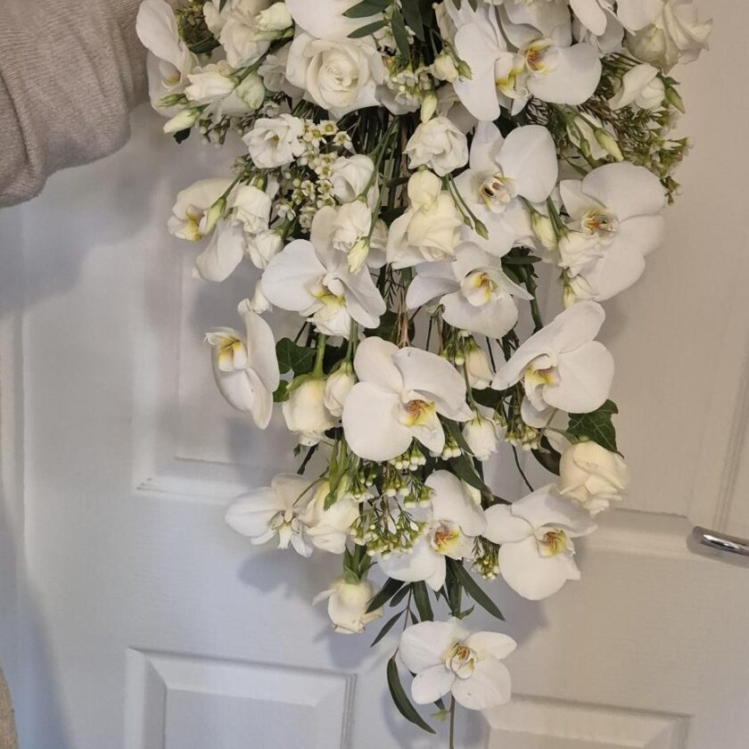 White Orchid Bridal 1