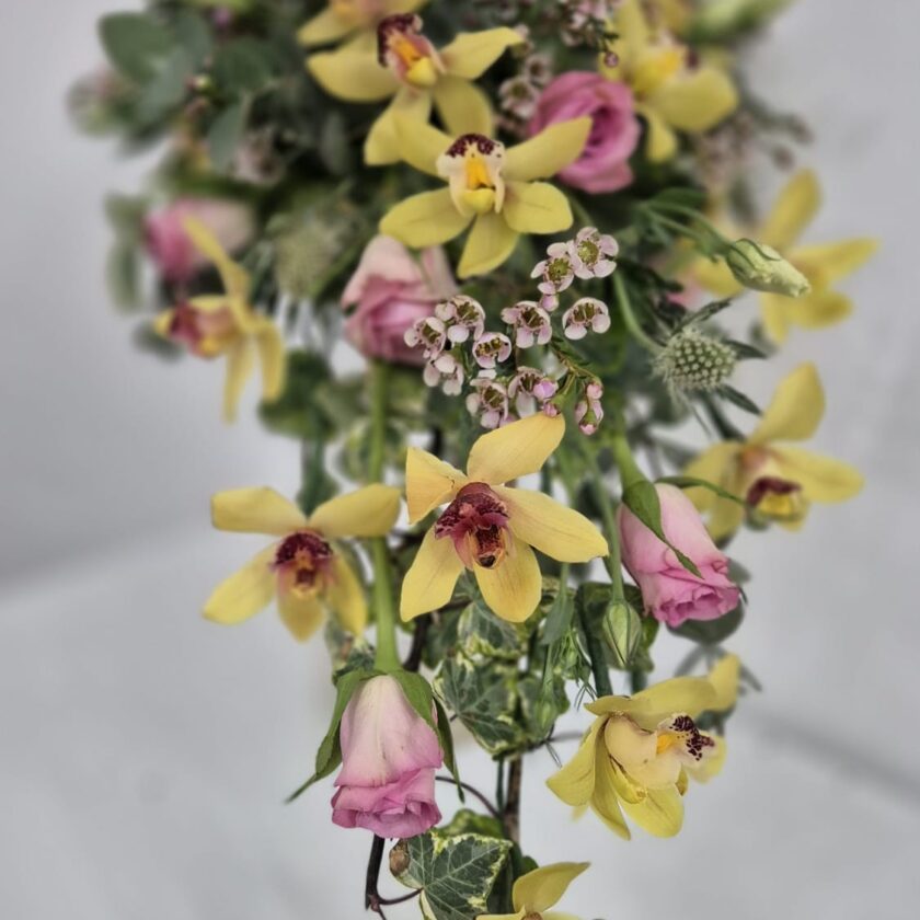 Yellow Orchid Shower B 1