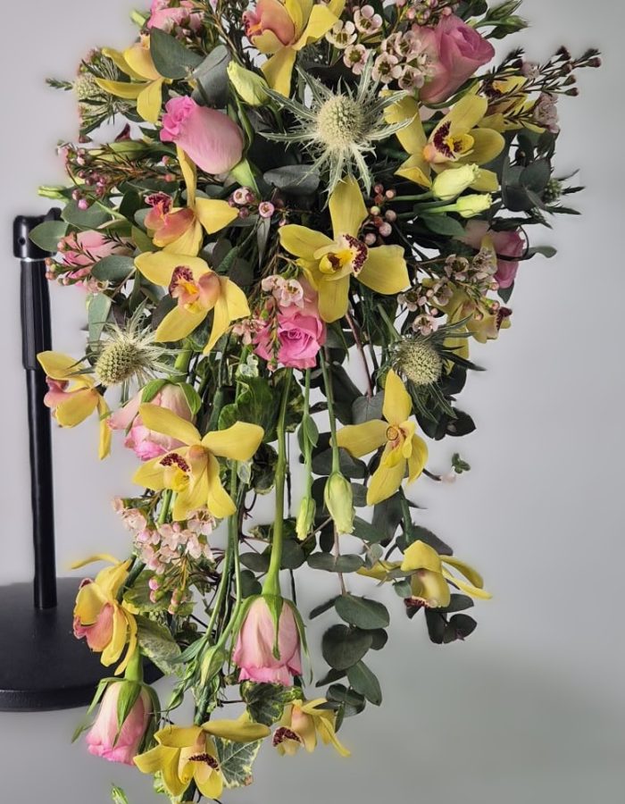Yellow orchid Sh B 3